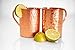 Set of 2 Moscow Mule Handcrafted Copper Mugs w/ Gift Box - 100% Solid Pure Copper, 16oz, Straight, Hammered
