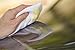 Viking Diaper Soft Cotton Polishing Cloth - 3 Pack