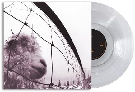 Amazon.com: Triple Vinyl - Xxxtentacion: CDs & Vinyl