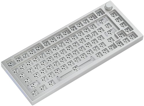Glorious PC Gaming Race GMMK Pro White Ice 75% TKL Tastatur - Barebone, ANSI-Layout, silber