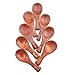 8Pcs Small Wooden Salt Spoon Solid Wood Condiments Spoon Handmade Honey Teaspoon Seasoning Sugar Coffee Tea Jam Mustard Ice Cream Milk (Brown)