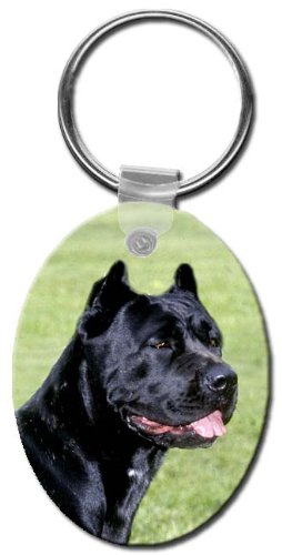 Amazoncom Cane Corso Clave Cadena Automotive