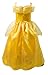 Romy's Collection Princess Belle Yellow Party Dress Costume (5-6, Yellow)