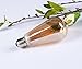 Dimmable Led Bulb, 6w LED Edison Bulb, 60w Incandescent Equivalent, 6W Vintage LED Filament Light Bulb, St64 Led Bulb,2400-2700K (Amber Glow) ,e26 /e27 Medium Screw Base, Amber Glass Cover, 4 Pack