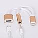 2 in 1 Lightning to 3.5mm Audio Adapter for iPhone 7, Amavasion Charger and 3.5mm Earphone Jack Cable Adapter (with Lightning Port Charging + 3.5 mm Port)