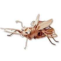 3-D Wooden Puzzle - Stagbeetle -Affordable Gift for your Little One! Item #DCHI-WPZ-E007