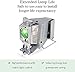 LBTbate BL-FP190E/SP.8VH01GC01 Replacement Projector Lamp for Optoma HD141X HD26 GT1080 GT1080darbee HD29darbee W316 BR323 BR326 DH1009 H182X S316 X316 X312 DW333 DW345 Projector Lamp with Housing