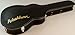 Washburn Hb36k Spruce Flame Maple Vintage Hollowbody Electric Guitar