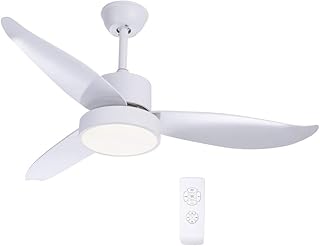 Globo Ramona (03600)