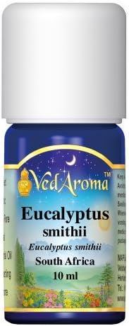 Eucalyptus, smithii Pure Essential Oil by VedAroma (10 ml)