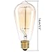 Vintage Edison Bulb 40W 110V E26 Base Squirrel Cage Tungsten Filament Incandescent Light Bulb, Warm Light Dimmable, Pack of 3