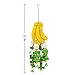 MEWTOGO Large Bird Parrot Toys for Cockatoos Macaws African Grey and Amazon Parrots