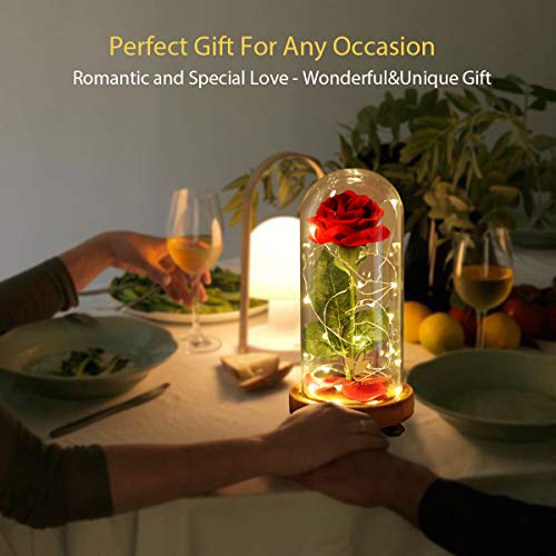 Dream of Flowers Beauty and The Beast Rose Kit, Red Silk Rose Lasts Forever in a Glass Dome with LED Lights, Gift for Women Mothers Day Valentine's Day Wedding Anniversary - Thumbnail 3