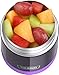 THERMOS FUNTAINER 10 Ounce Stainless Steel Kids Food Jar, Purple
