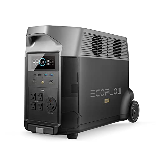 EF ECOFLOW DELTA Pro