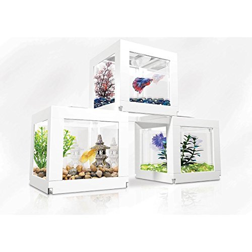 Biobubble Stacking Kit Fish Bowl For Deco Cubes By Bio-Bubble (740023695677)