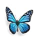 Buttonsmith Butterfly Magnet Set - Set of 4 1.25