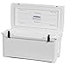 Engel Coolers ENG80 Cooler | 75 Can High Performance Durable Seamless Rotationally Molded Ice Box for Camping, Hunting, and Fishing - White