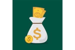 Money Manager
