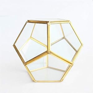MINGZE Terrario a forma di pentagono, trasparente, formato da dodici lastre pentagonali in vetro, vaso per piante grasse…