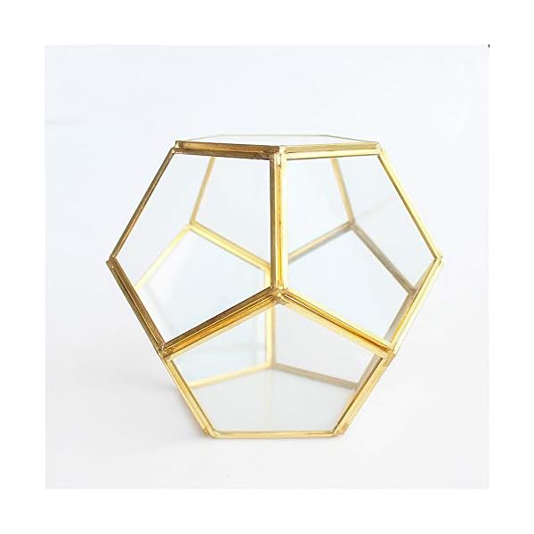 MINGZE Terrario a forma di pentagono, trasparente, formato da dodici lastre pentagonali in vetro, vaso per piante grasse…