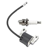 Panari 802574 Ignition Coil Spark Plug for Briggs and Stratton 590454 Armature Magneto 790817 692605 792631 491760 493237 799381 T802574