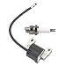 Panari 802574 Ignition Coil Spark Plug for Briggs and Stratton 590454 Armature Magneto 790817 692605 792631 491760 493237 799381 T802574