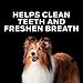 Purina Pro Plan Veterinary Diets Lite Snackers Canine Dog Treats - 24 oz. Pouch