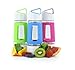 Fruition Hot and Cold Tea and Fruit Infuser Water Bottle with Instant Infusing Basket (Kiwi-Lime)