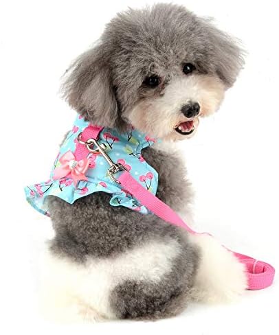 SELMAI Escape Proof Cat Harness and Leash for Walking, Fashionable Puppy Cat Striped Harness Ruffles Design Adjustable Soft Padded Vest for Small Dogs Kitten Puppies Easy on Jacket Spring Autumn