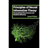 Principles of Neural Information Theory: Computational Neuroscience and Metabolic Efficiency