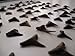 Lot of 5 - 5-75 Million Years Old Fossil Shark Teeth