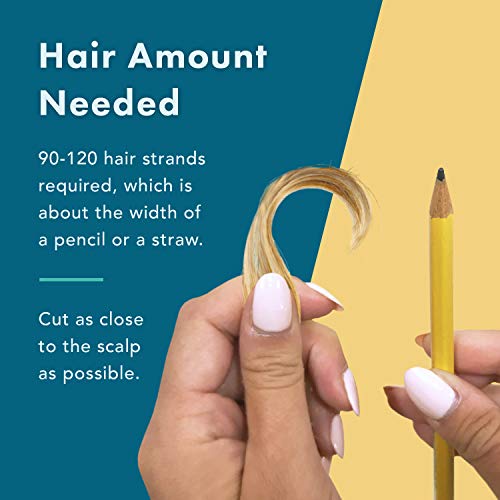 HairConfirm 14 Panel Hair Drug Test Collection Kit Only, 90 Days