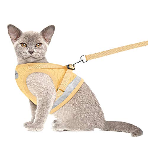 Cat Harnesses and Puppy Harness with Leashes Set, Escape Proof Cat Harness, Adjustable
