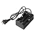 Wyness 2PCS 18650 Rechargeable 3.7V 2500mAh Batteries with Fast Li-ion 18650 18500 14500 Battery Charger
