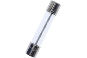 Yoiilnz 2Amp 250V Glass Fuse 2A Time Delay Slow-Blow 6.3x31.8mm/0.25"x1.25" Spiral Wire 8A/250V Set of 5