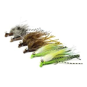 Pêche à La Mouche Kit Mouches Grosse Truite Top 10 Mouches Équipement De Pêche à La Mouche Prime Mouches Sèches Humides…