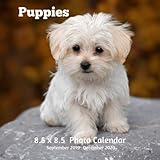 Puppies 8.5 X 8.5 Calendar September 2019 -December 2020: Monthly Calendar with U.S./UK/ Canadian/Ch by Dazzle Book Press