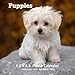 Puppies 8.5 X 8.5 Calendar September 2019 -December 2020: Monthly Calendar with U.S./UK/ Canadian/Ch by Dazzle Book Press
