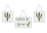 Pink and Green Boho Watercolor Wall Hanging Decor for Cactus Floral Collection by Sweet Jojo Designs - Set of 3