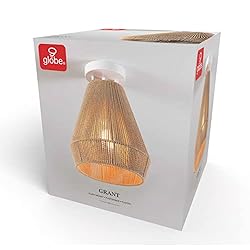 Globe Electric 65894 1-Light Flush Mount Ceiling
