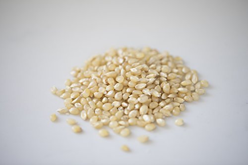 5 Amish+Country+Popcorn+Fashioned+Microwaveable