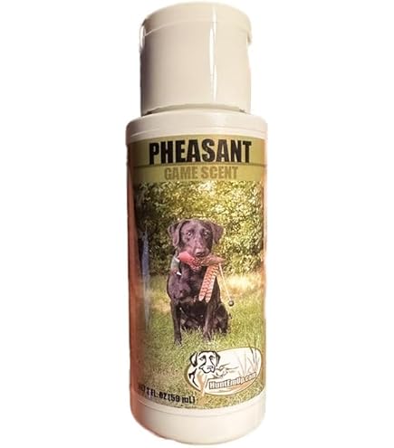 Dog Training Scent: Mastering Techniques for Success