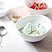 Sweese 103.000 Porcelain Bowl - 28 Ounce for Cereal, Salad and Desserts - Set of 1, White