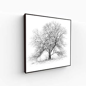 Canvas Wall Art for Living Room, Bedroom Monochrome Image Framed Canvas Prints for Home Decoration Ready to Hang - 16x16 inches