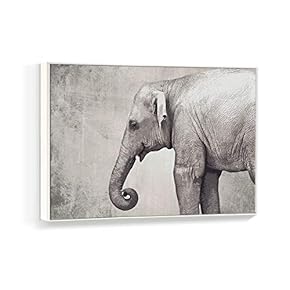 Framed Canvas Wall Art for Living Room, Bedroom Black and White Animal Canvas Prints for Home Decoration Ready to Hanging - 16x24 inches