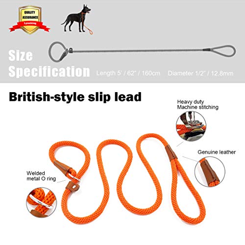 lynxking Dog Leash Slip Rope Lead Leash Strong Heavy Duty Braided Rope