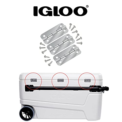 Igloo Cooler Heavy Duty Stainless Steel Hinges for Ice Chests (Set of 3