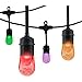 Enbrighten 36' Seasons Cafe Lights (18 bulbs) A1