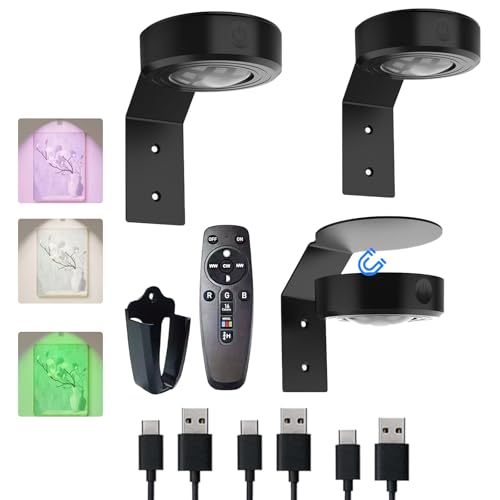 VIGMOJ Picture Lights
